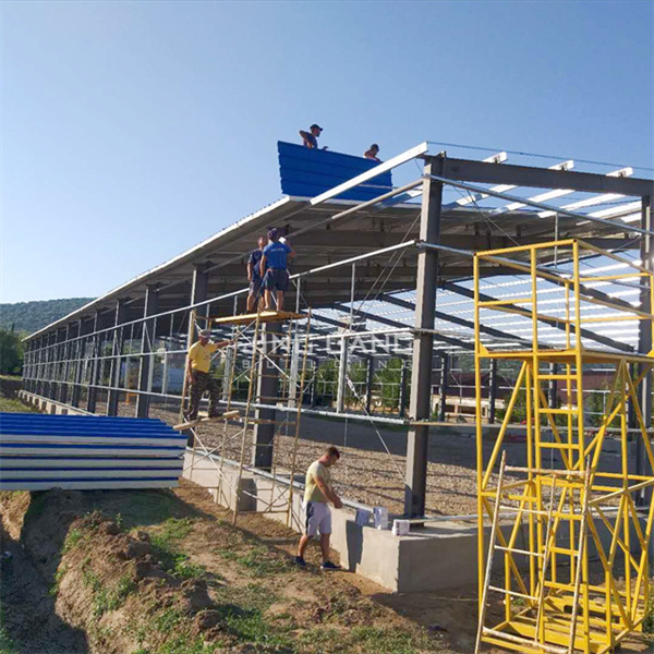 Wind Load and Seismic Design Requirements for Large-Span Steel Hangars