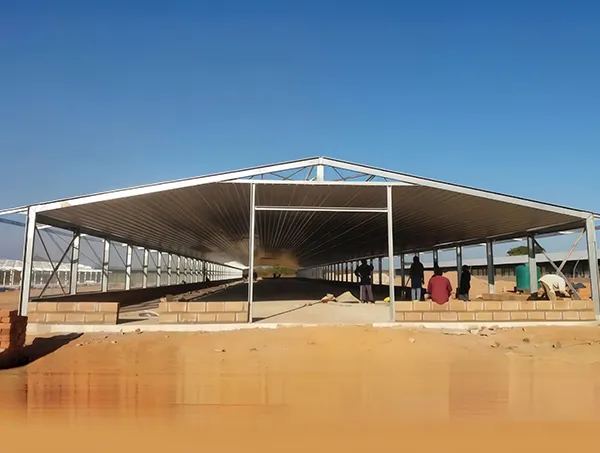 Steel Structure Chicken House