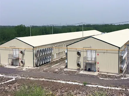 Poultry Farm Steel Structure Buying Guide for Commercial Farms