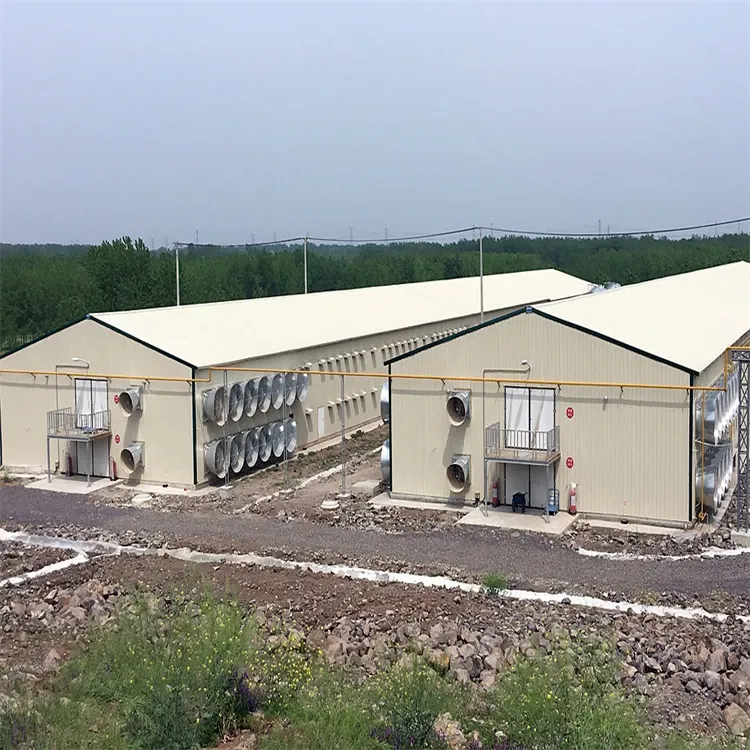 Why Poultry & Cow Farm Steel Structures Reduce Operating Costs