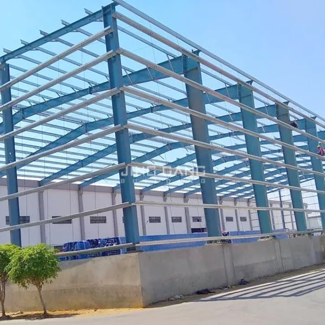 Steel Structure Chicken House