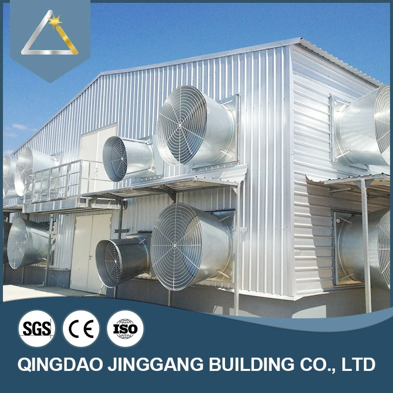 In China Nice Looking Prefab Poultry House Dairy Farm Structure Livestock Steel Metal Building Shed