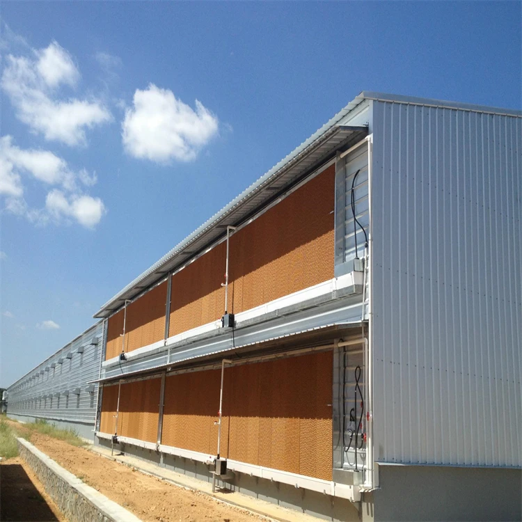 Steel Frame Warehouse  Layer Chicken Farm Construction Poultry House for 10000 Chickens