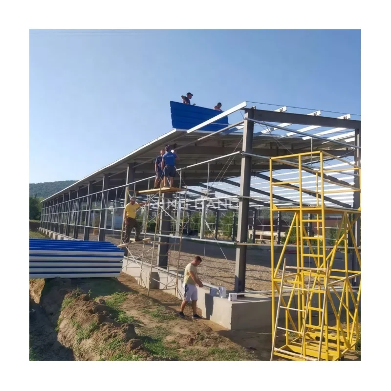 Hot Sale Low Cost Prefabricated Custom Welded Heavy Duty Steel Structure Shed for Warehouse & Steel Workshop Use