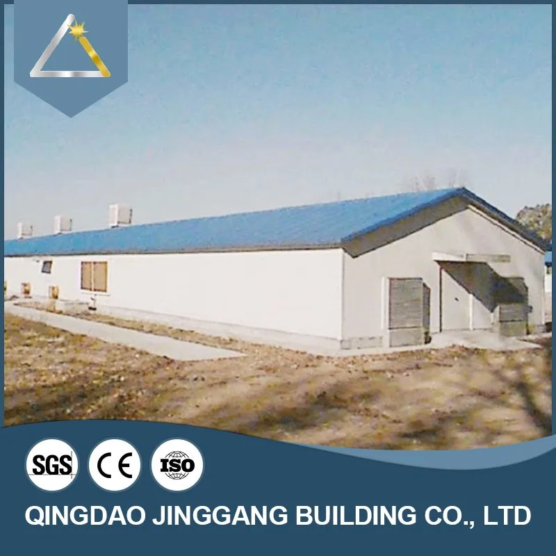Construction Design Steel Structure Pipe Factory Pig Cow Farm Shed