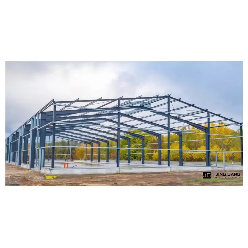 Plants Prefab Metal Shed Prefabricated Steel Building Warehouse Prefabricated Steel Structure