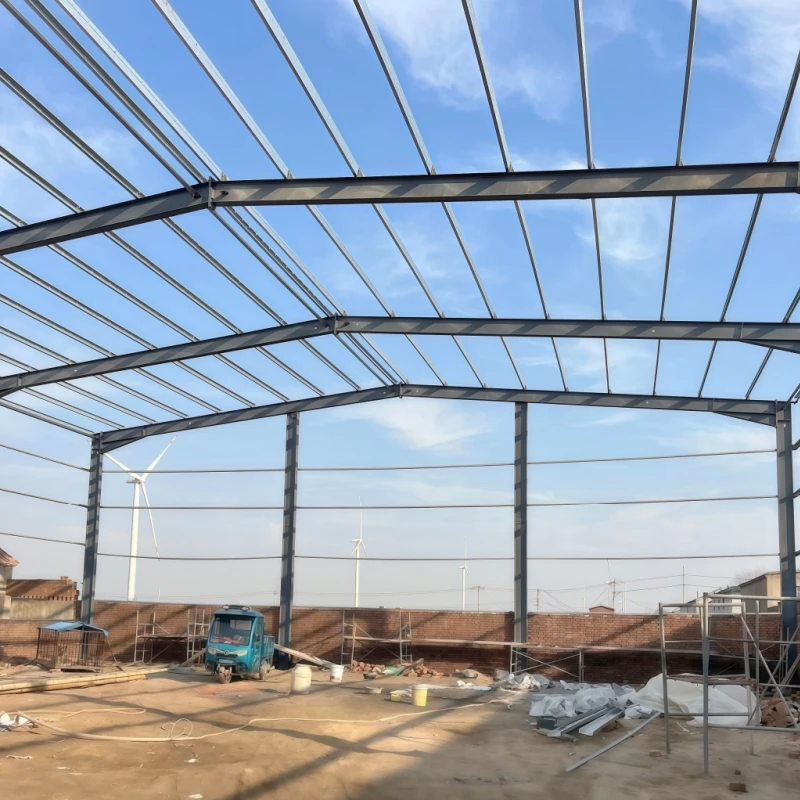 1000 Sqm Construction Prefabricated Steel Structure Frame Crane Inside Modern Style Industrial Workshop Warehouse