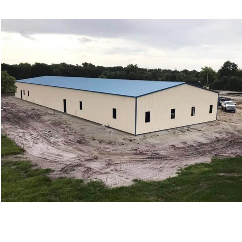 Metal Steel Construction Building Design Large Span Prefabricated Steel Structure Warehouse