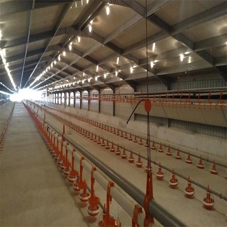 Light Frame Prefab Steel Structure Poultry Equipment Chicken Farming Warehouse with Cutting Service