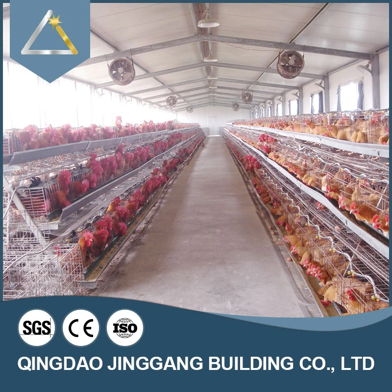 Prefab Light Cheap Animal House Cowshed Poultry Farm Structure Low Cost Steel Frame Industrial Shed