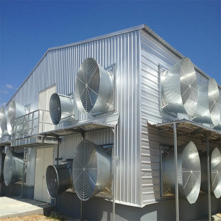 High Quality Verified Supplier Galvanized Steel Structure Chicken House Modern Modern Poultry Farm Design Competitive Price