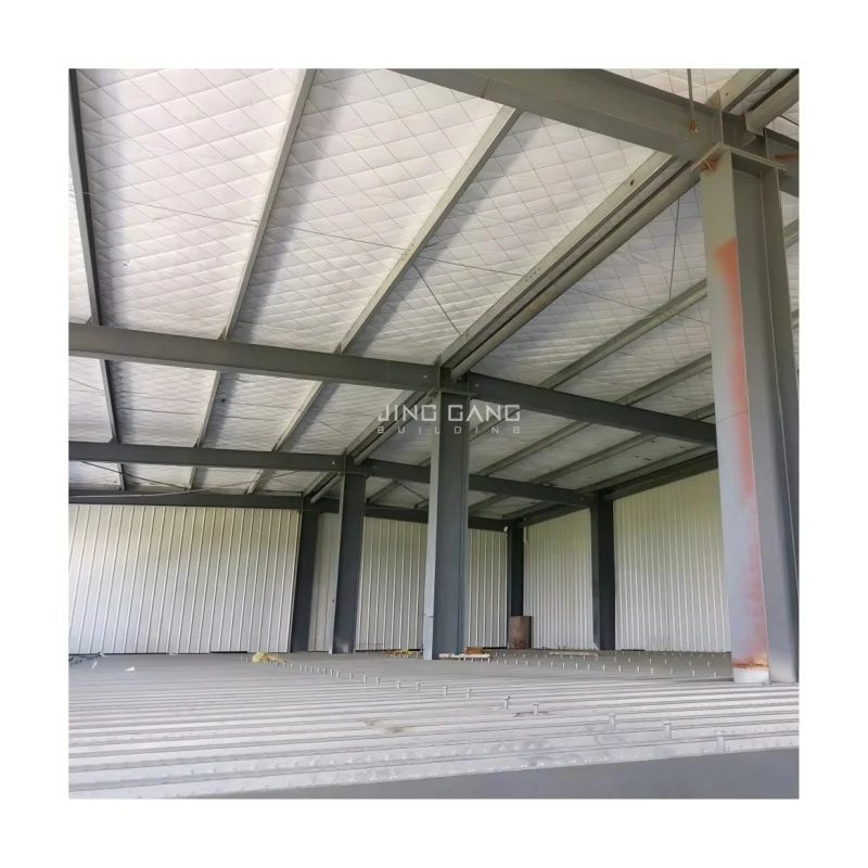 Cheap Prefab Rabbit/ Hen / Broiler / Chicken Poultry House Large Metal House Steel Structure Duck House