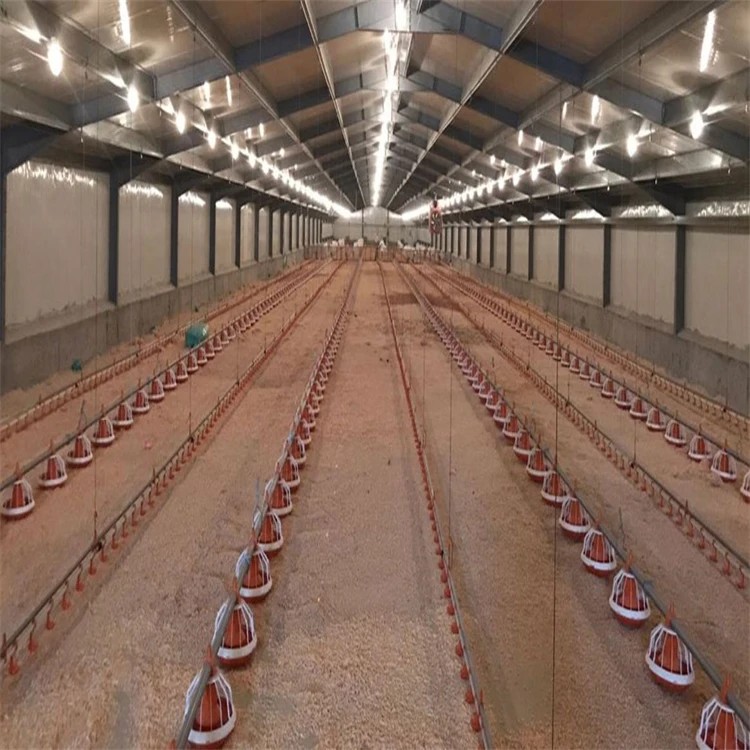 Light Frame Prefab Steel Structure Poultry Equipment Chicken Farming Warehouse with Cutting Service