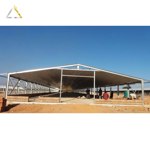 Low Cost Economical Poultry Farm Construction Plan Customized Light Steel Structure House Steel Frame Chicken Shed System CN;SHN