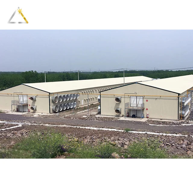 New Type Economical Poultry Farm House Design  Building a Chicken House