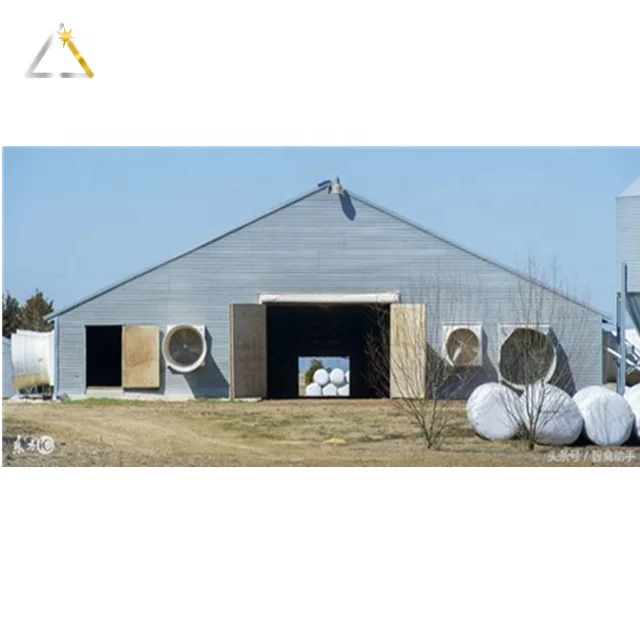 Low Cost Economical Poultry Farm Construction Plan Customized Light Steel Structure House Steel Frame Chicken Shed System CN;SHN