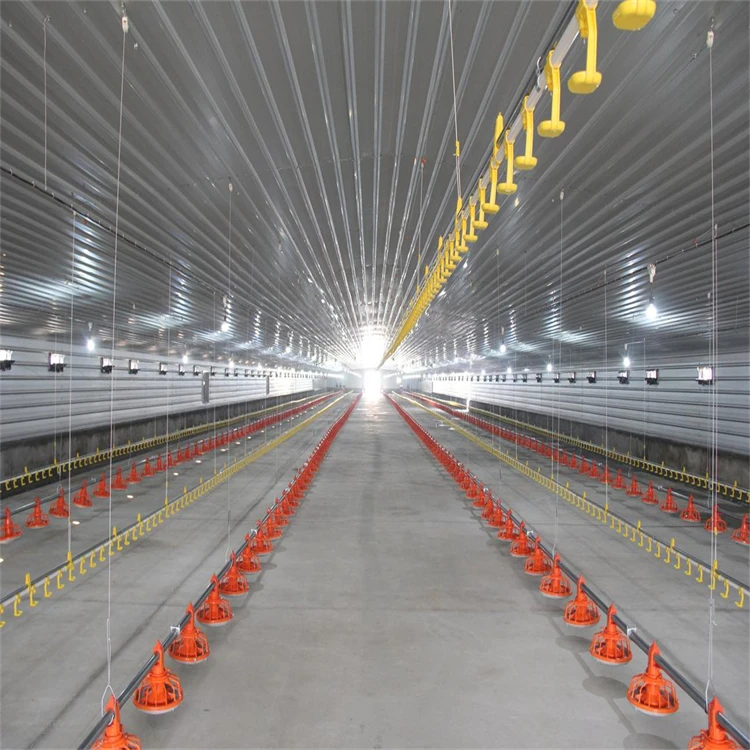 Modern Prefab Design Commercial Chicken House Steel Structure Broiler Shed Poultry Farm for Sale