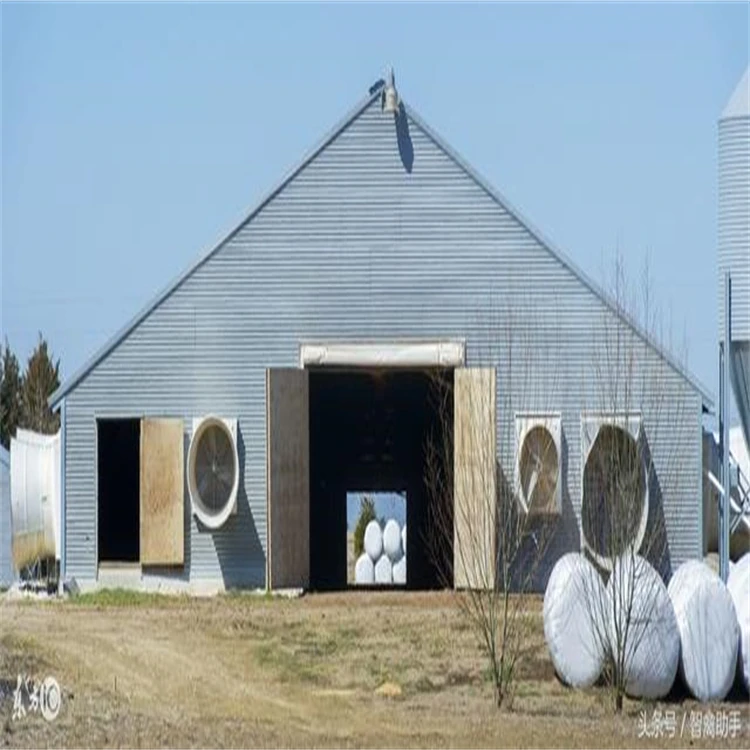 Prefabricated New Design Cheap Piggery Farm House Design
