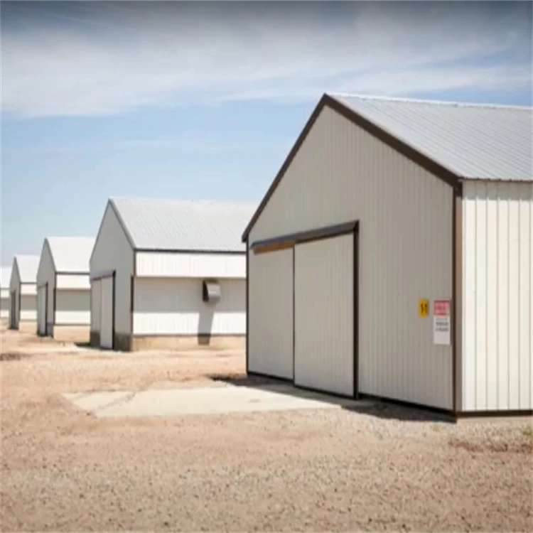 Light Frame Prefab Steel Structure Poultry Equipment Chicken Farming Warehouse with Cutting Service