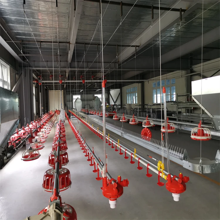 Light Frame Prefab Steel Structure Poultry Equipment Chicken Farming Warehouse with Cutting Service
