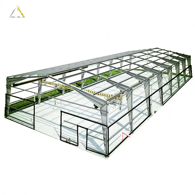 Low Cost Economical Poultry Farm Construction Plan Customized Light Steel Structure House Steel Frame Chicken Shed System CN;SHN