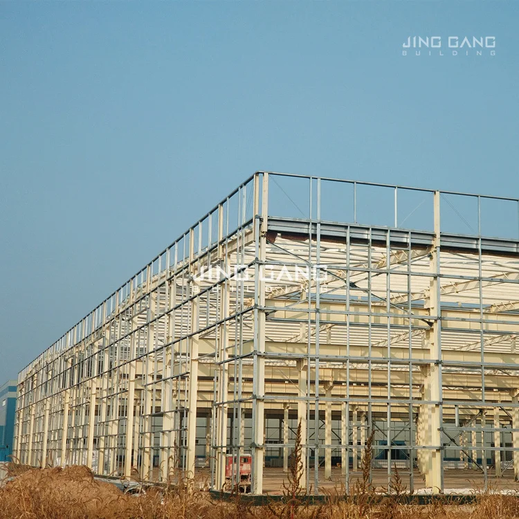 Customized High Quality Fabrication Hangar Warehouse Steel Structure Shed Drawing