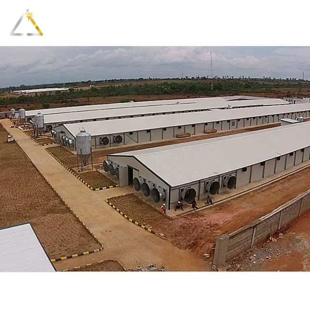 Structure Farming Prefab Steel Toolshed Commercial Chicken House Poultry Farm Fast Installed Shed