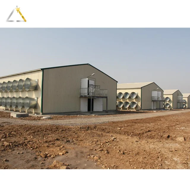 Low Cost Economical Poultry Farm Construction Plan Customized Light Steel Structure House Steel Frame Chicken Shed System CN;SHN