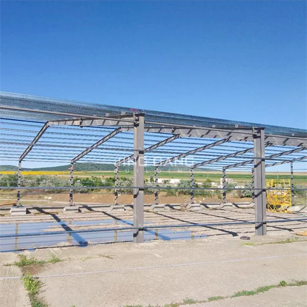 Hot Sale Low Cost Prefabricated Custom Welded Heavy Duty Steel Structure Shed for Warehouse & Steel Workshop Use