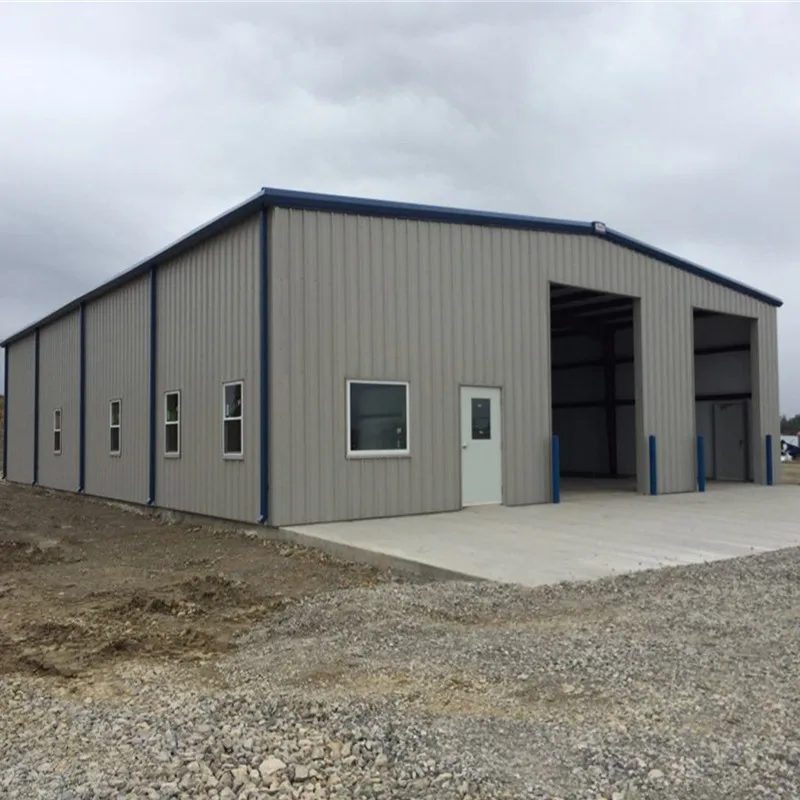 Prefabricated Construction Industrial Metal Materials Hangar Shed Warehouse Workshop Plant Steel Structure Building