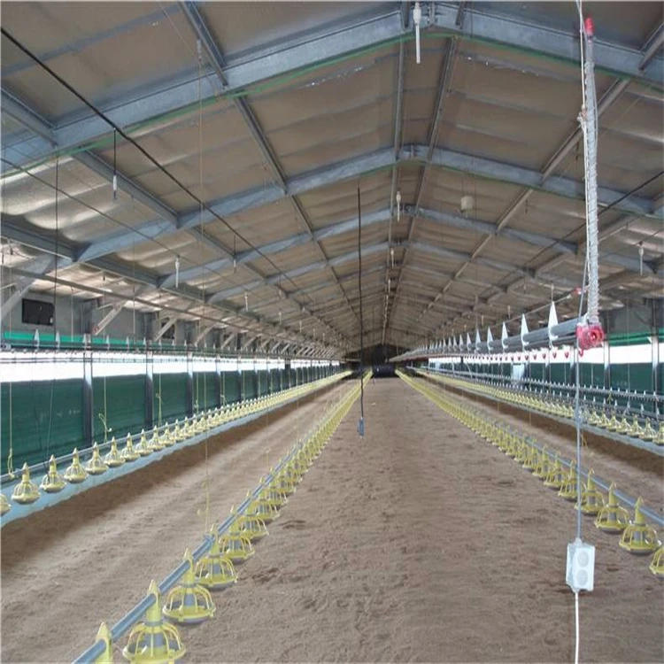 Steel Frame Warehouse  Layer Chicken Farm Construction Poultry House for 10000 Chickens