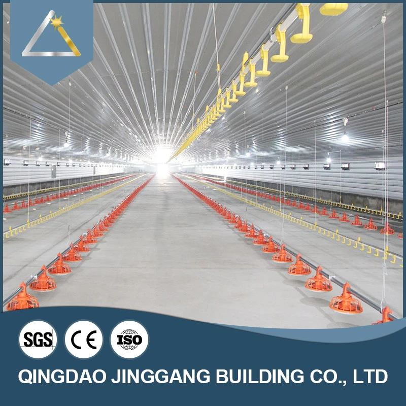 Galvanized Steel Chicken House Modern Poultry Farm Material Design